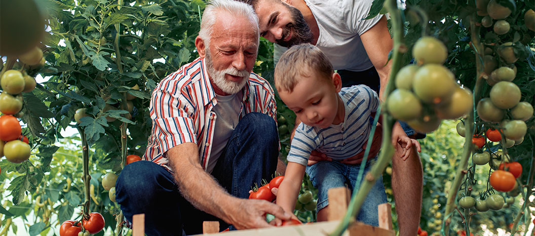 Florida Life Insurance Coverage